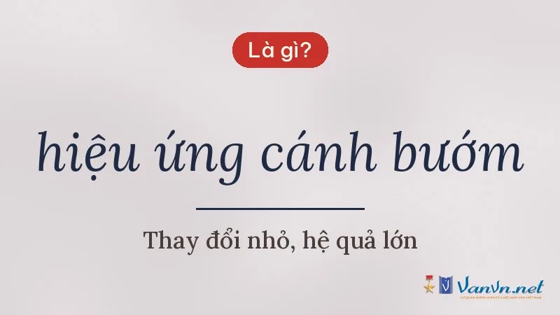 hiệu ứng cánh bướm là gì