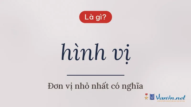 hình vị là gì