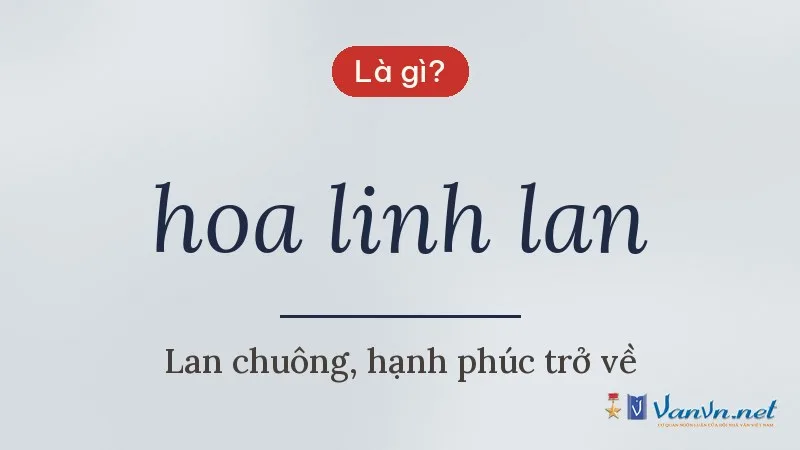 hoa linh lan là gì