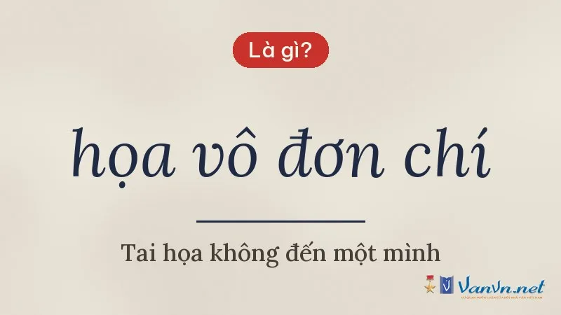 họa vô đơn chí là gì