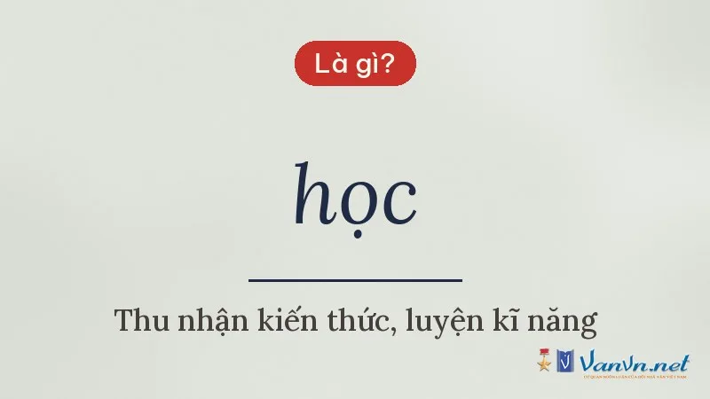 học là gì