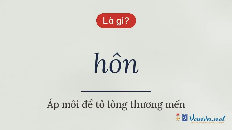 hôn là gì
