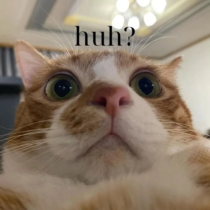 huh meme