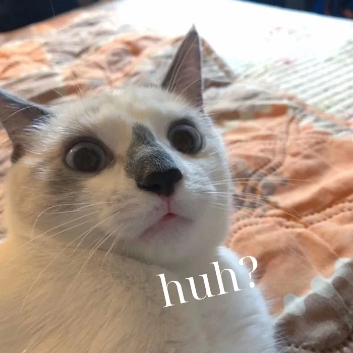 huh meme