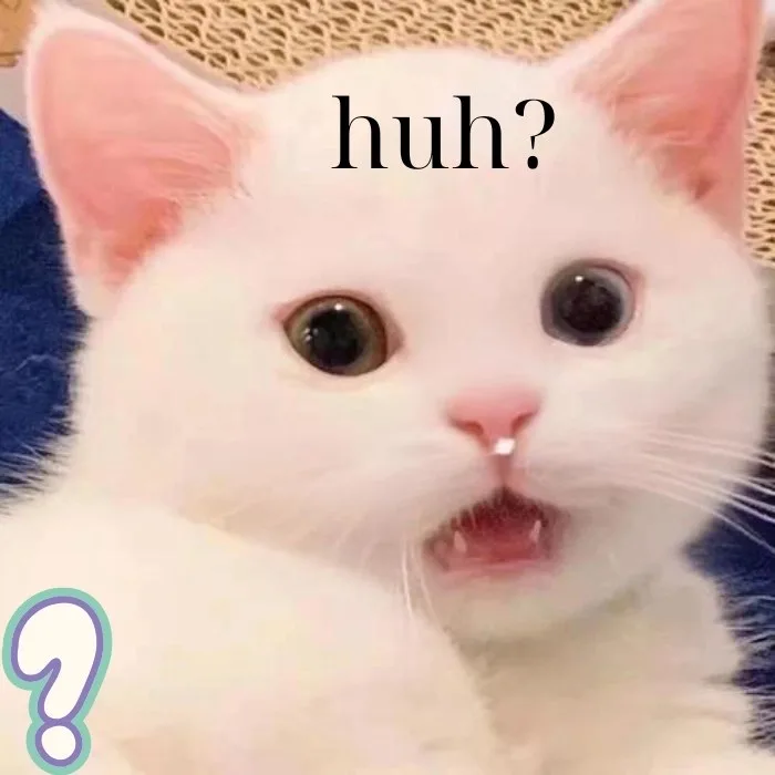 huh meme