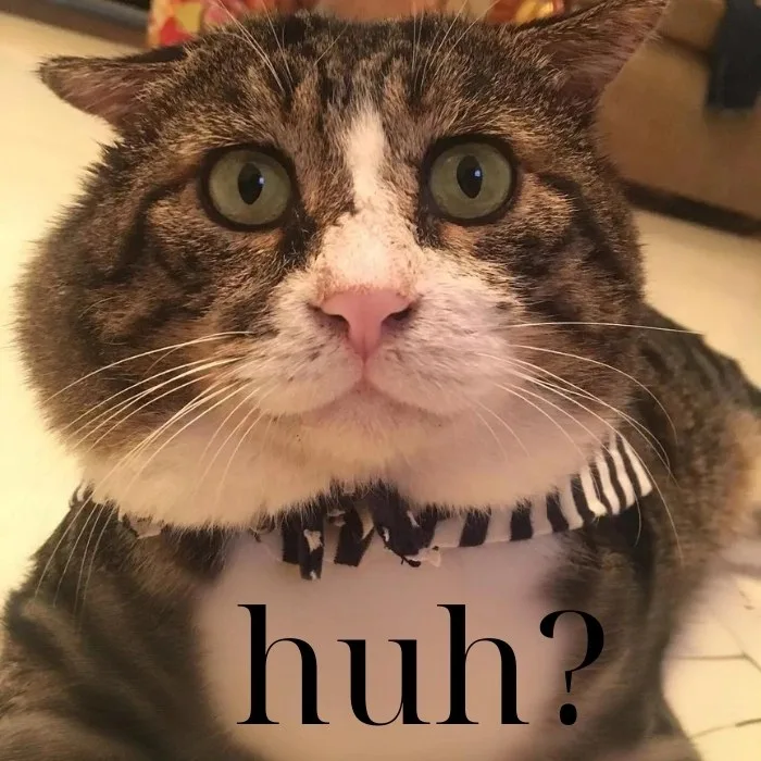 huh meme