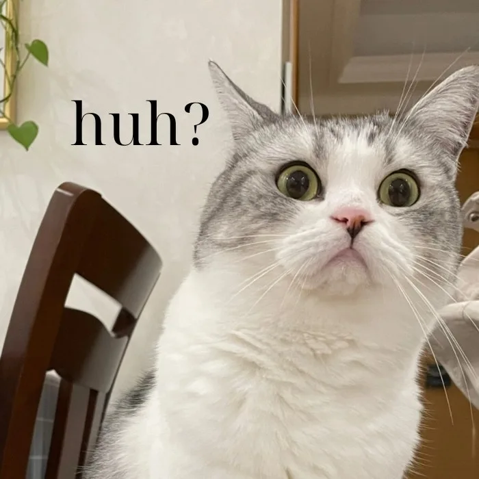 huh meme