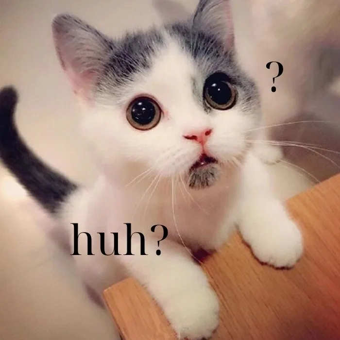 huh meme