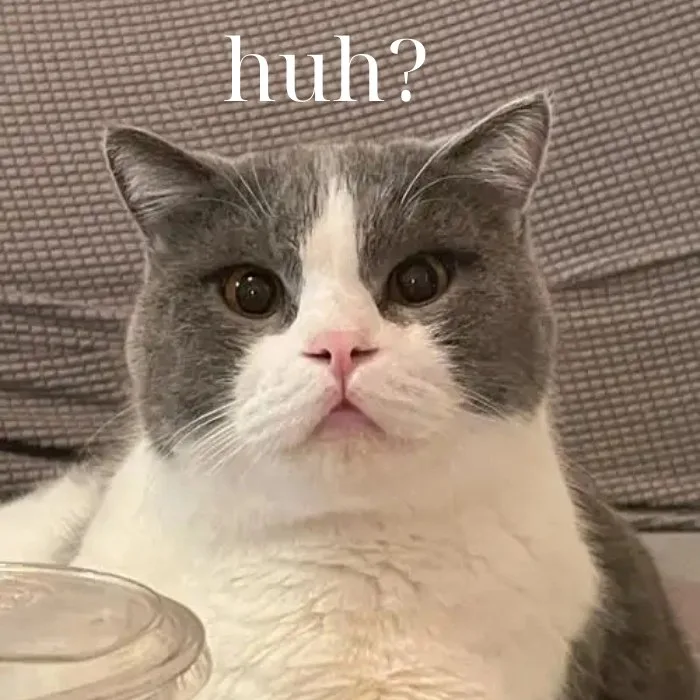 huh meme