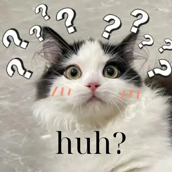 huh meme