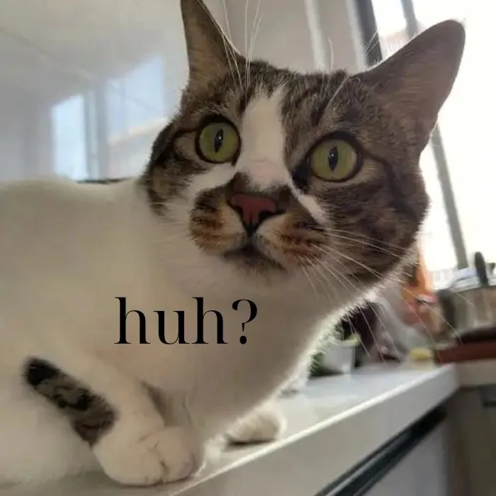 huh meme