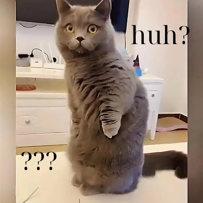 huh meme