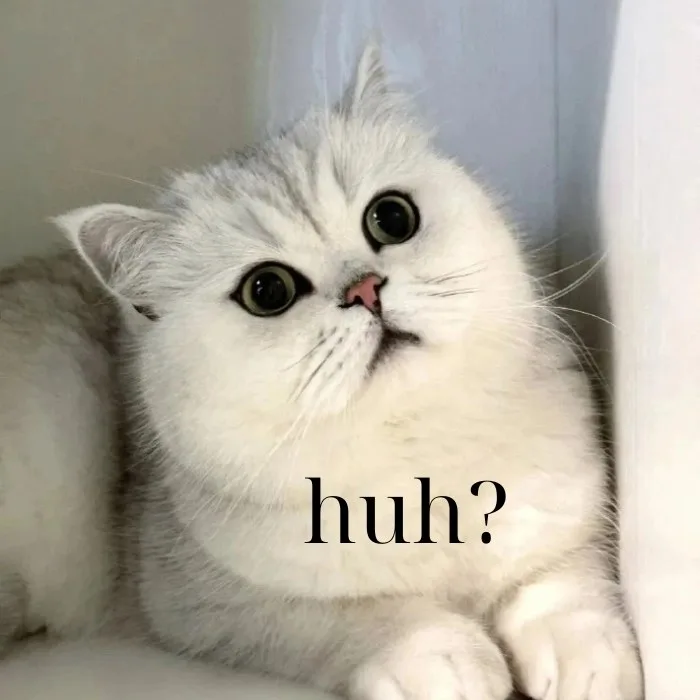 huh meme