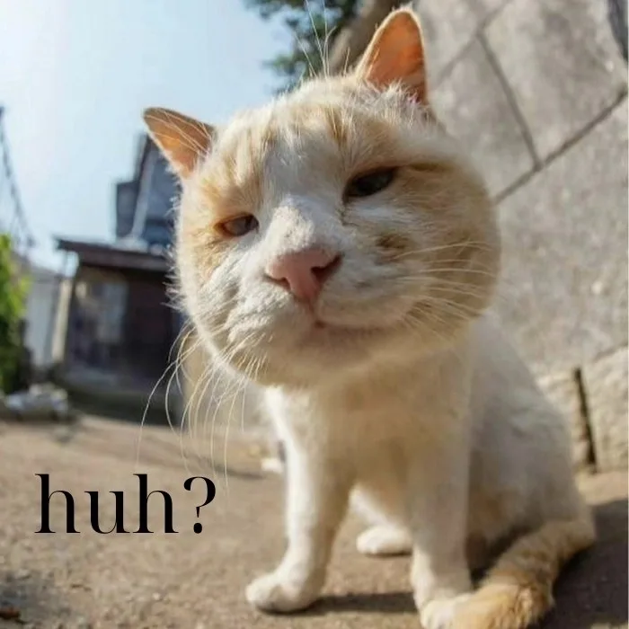 huh meme