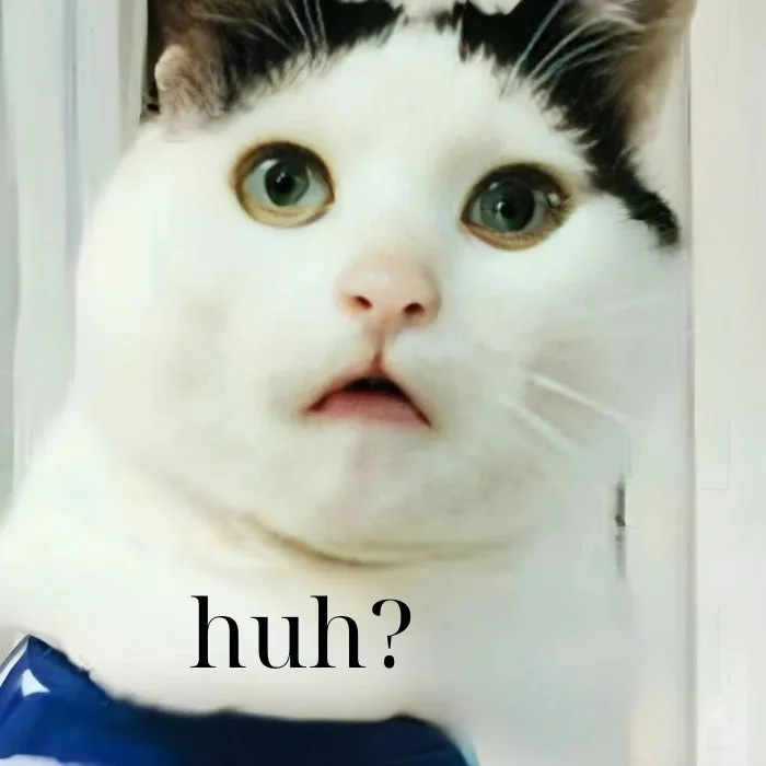huh meme