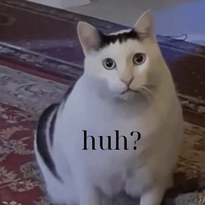 huh cat meme