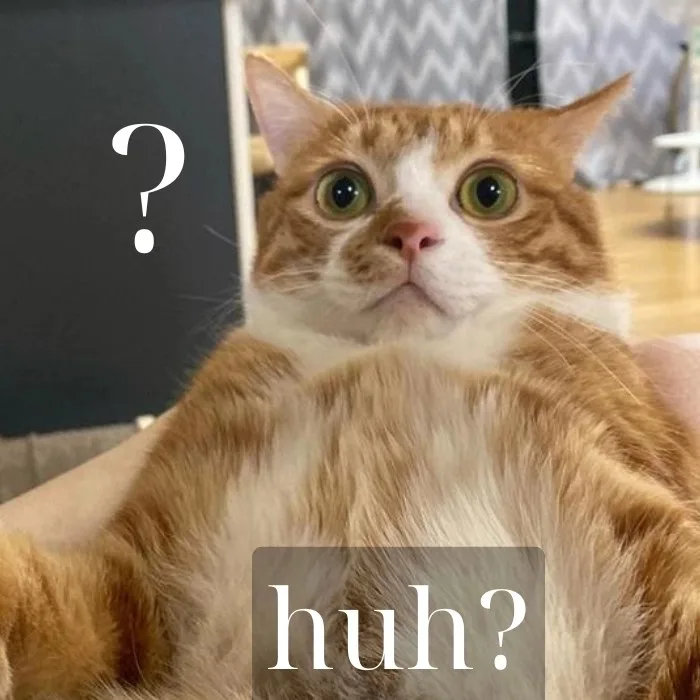 huh meme
