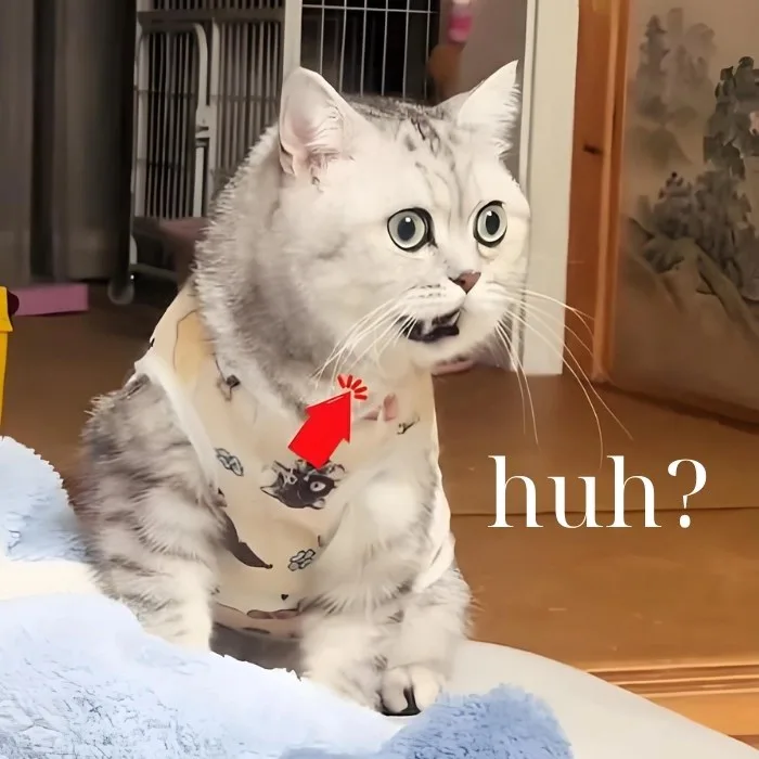 huh meme