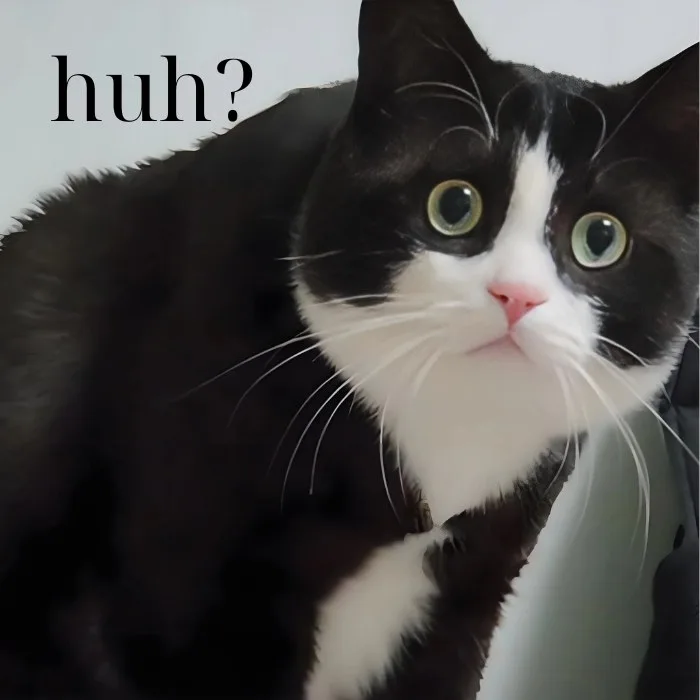huh meme