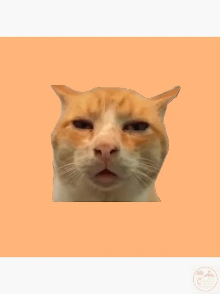 huh meme