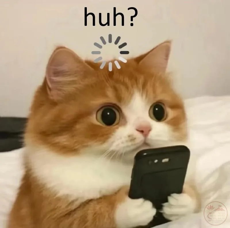 huh meme