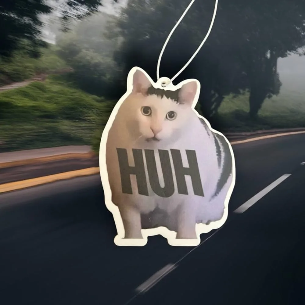 huh cat meme
