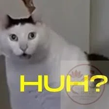 huh cat meme