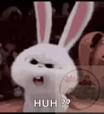 huh reaction meme