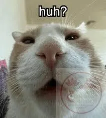 huh meme