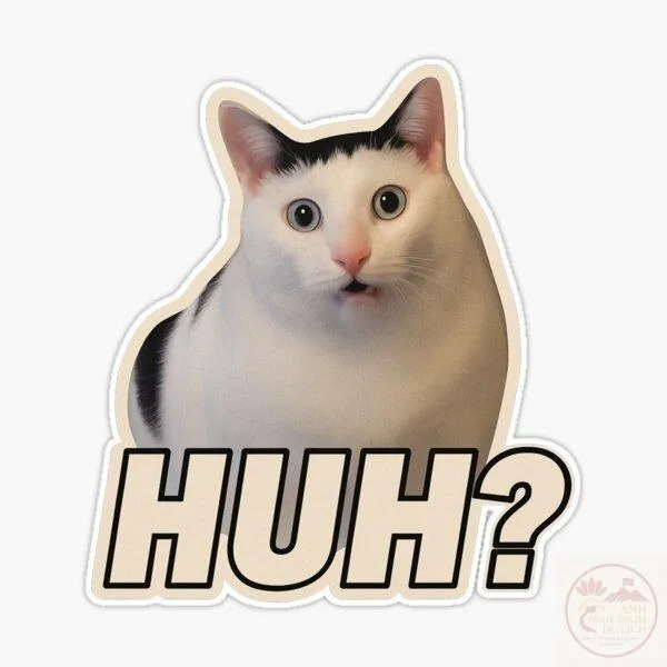 huh cat meme