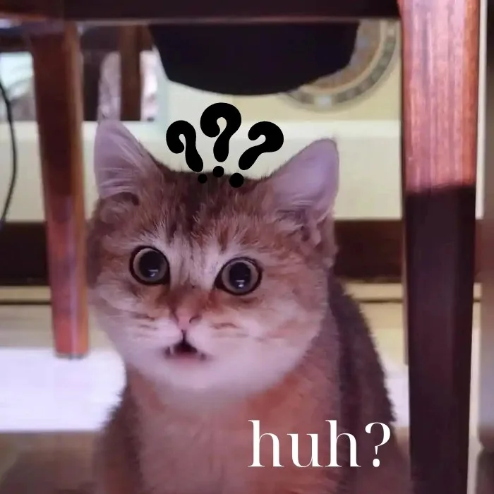 huh meme
