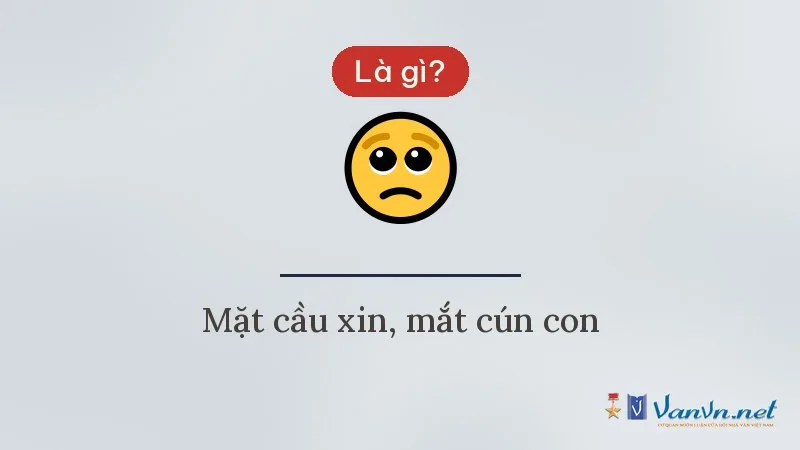 Icon 🥺 mặt cầu xin là gì
