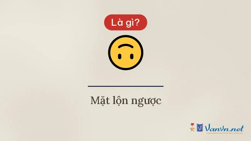 Icon 🙃 mặt lộn ngược là gì
