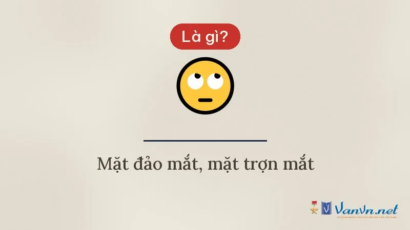 Icon 🙄 mặt đảo mắt là gì