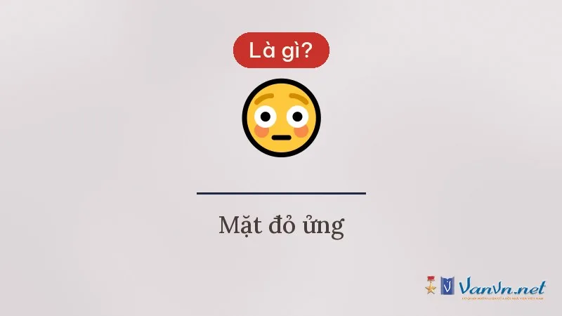 Icon 😳 mặt đỏ ửng là gì