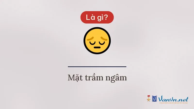 Icon 😔 mặt trầm ngâm là gì