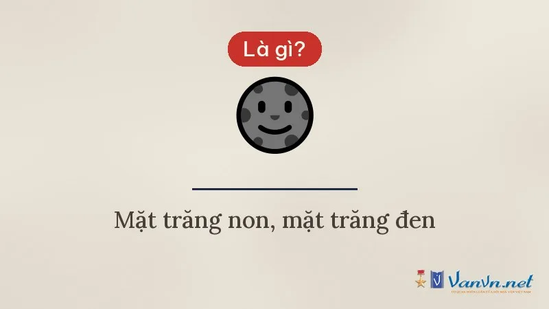 Icon 🌚 mặt trăng non là gì