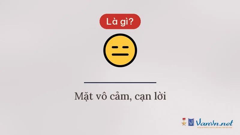 Icon 😑 mặt vô cảm là gì