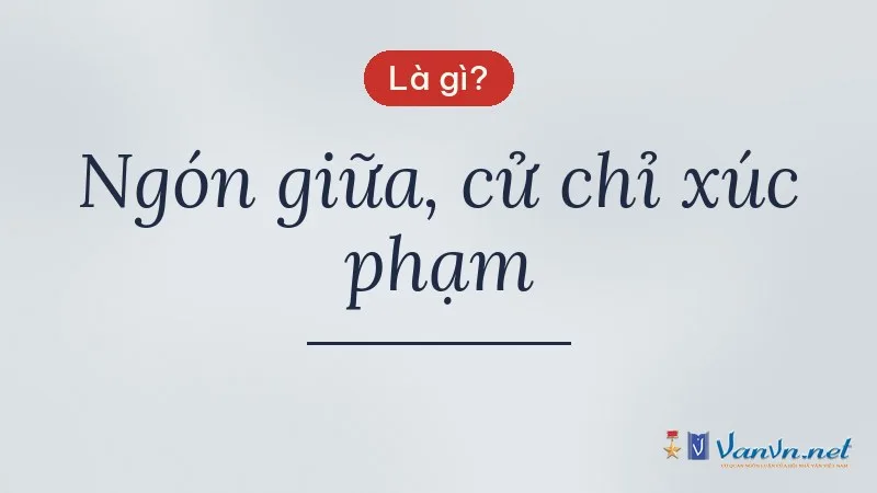 Icon 🖕 ngón giữa là gì