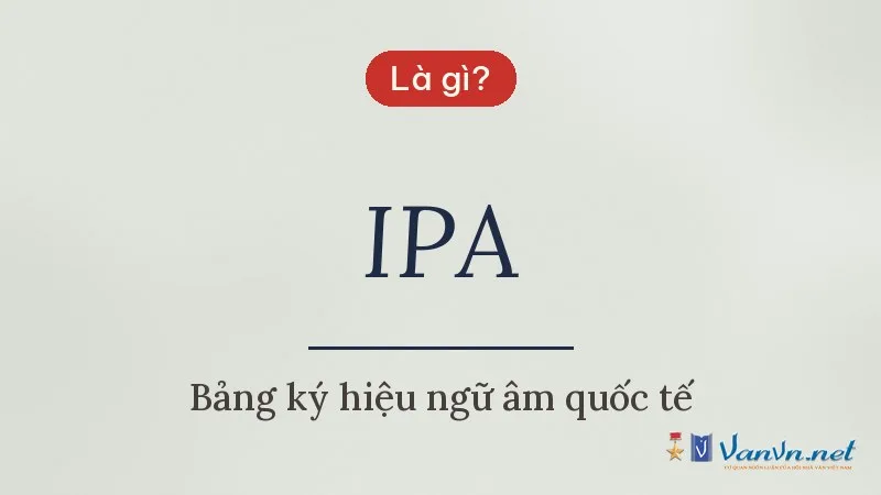 IPA là gì