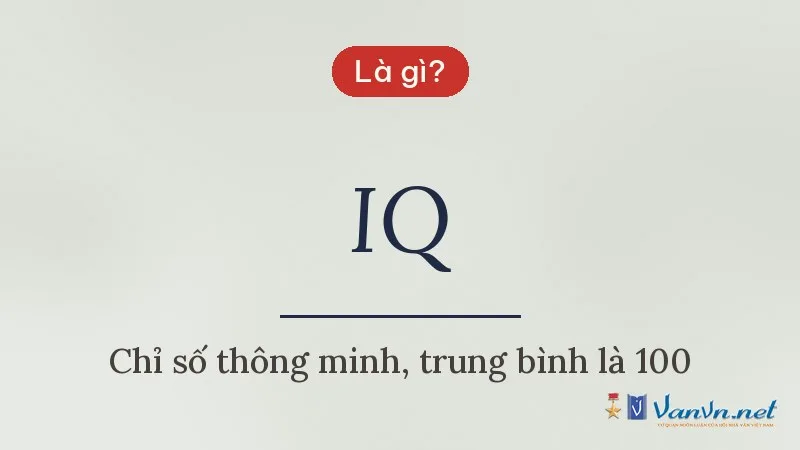 IQ là gì