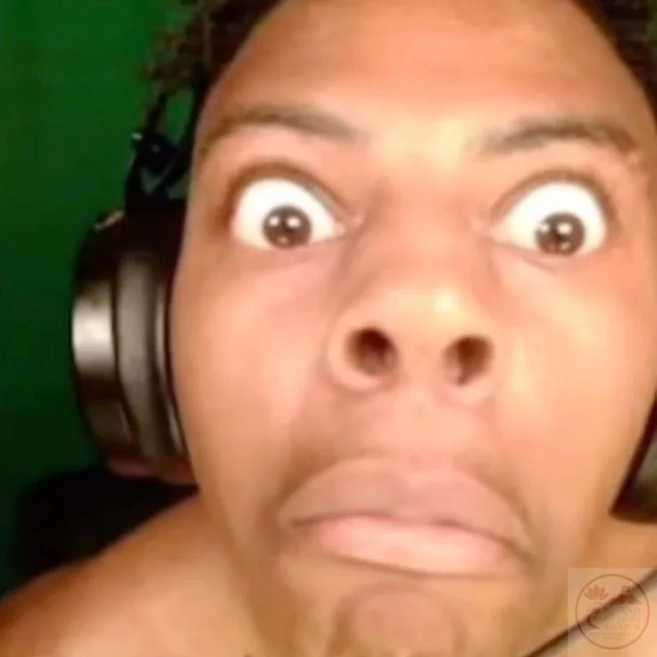 ishowspeed meme face