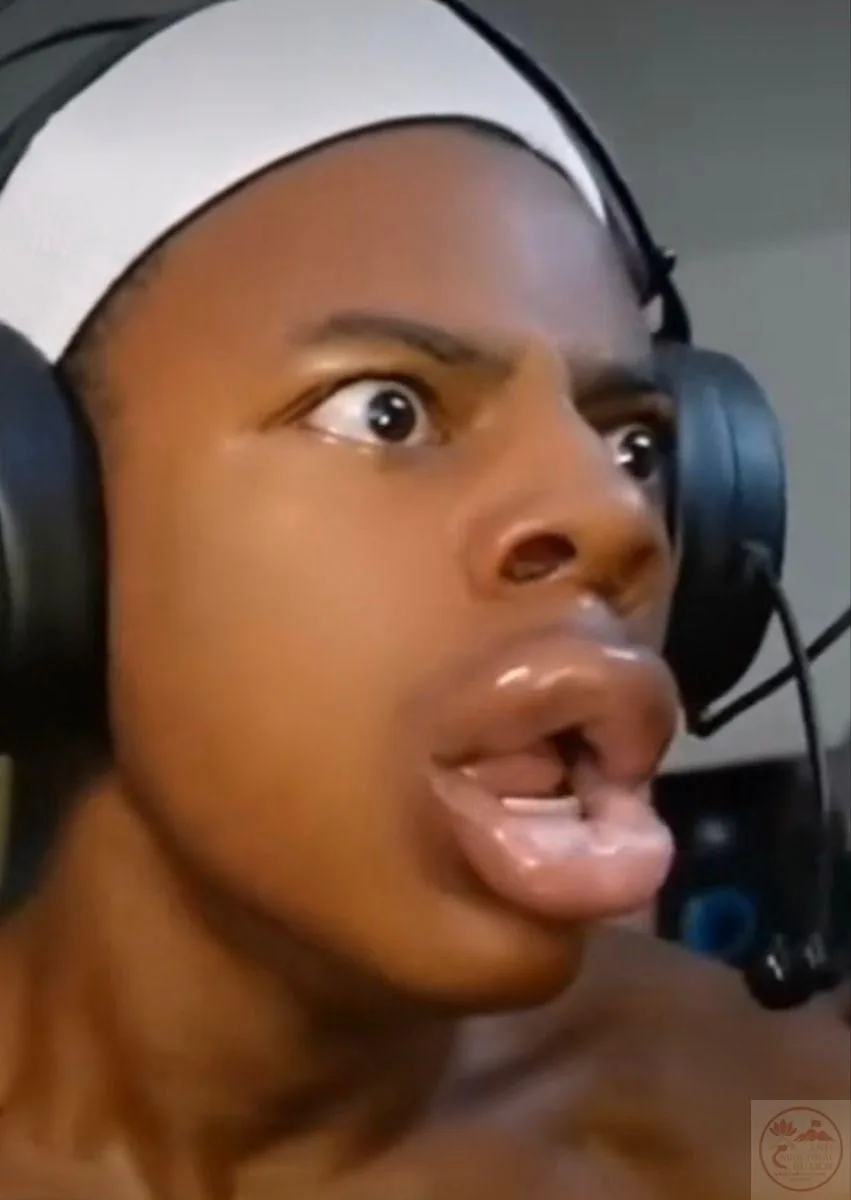 ishowspeed meme face