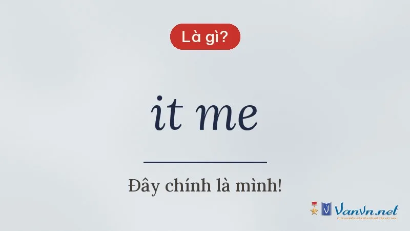 it me là gì