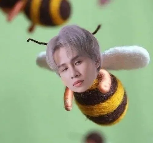 meme jack đom đóm