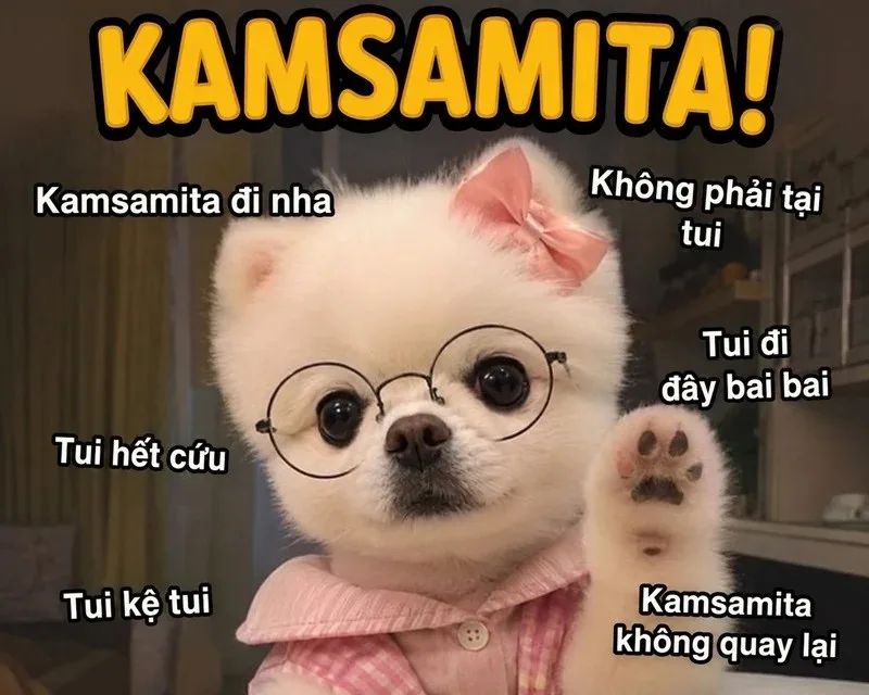 kamsamita meme