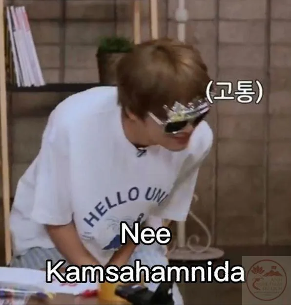 kamsamita meme