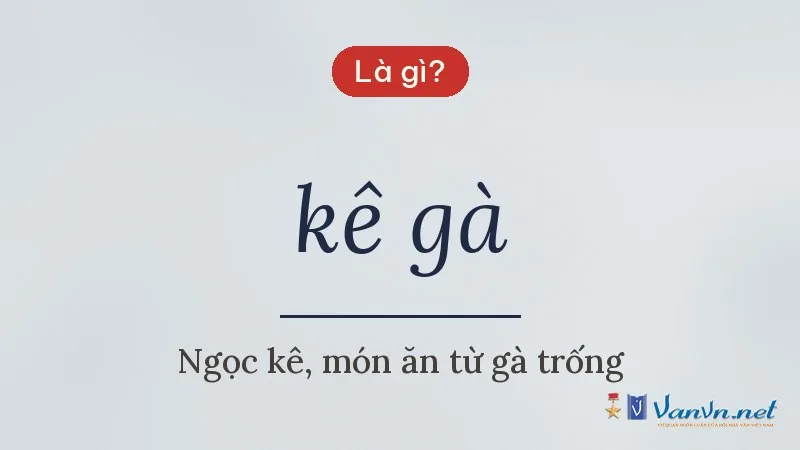 kê gà là gì