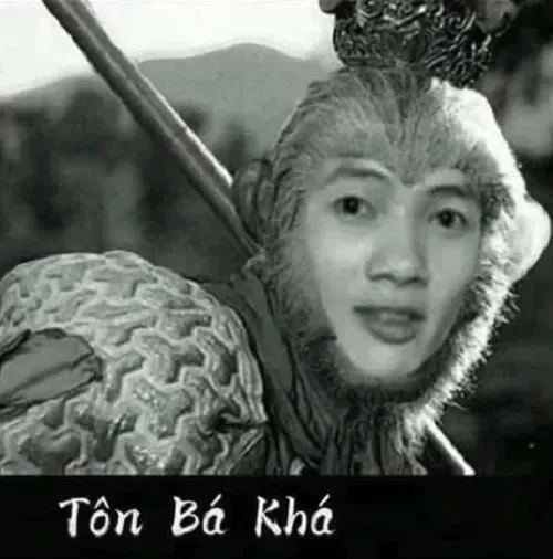 ảnh chế khá bảnh