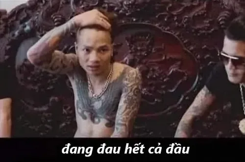 meme khá bảnh